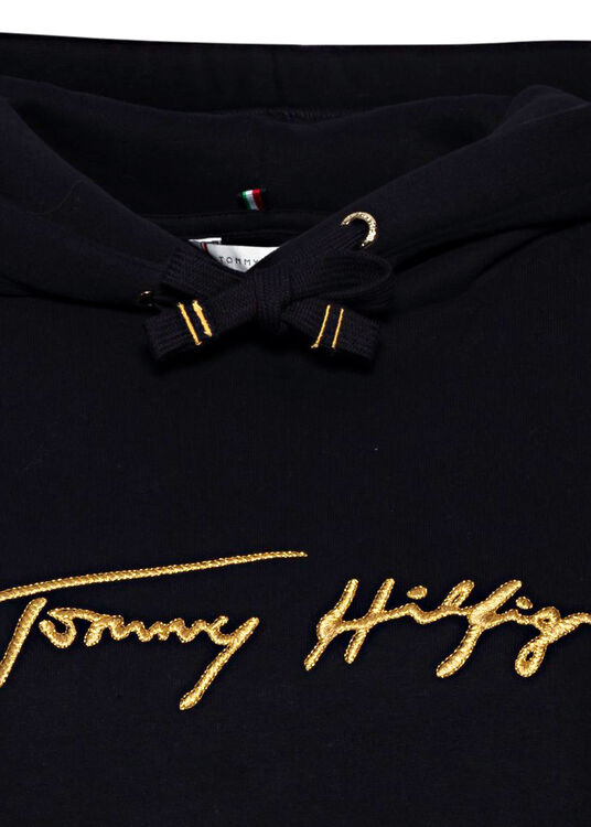 RELAXED GOLD SCRIPT HOODIE image number 2